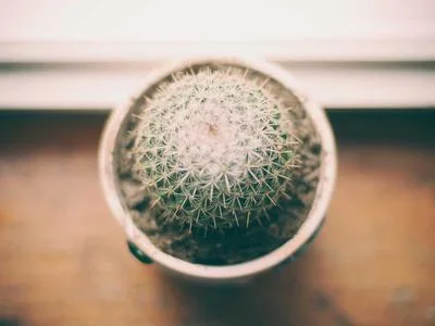 社交网络扩展
